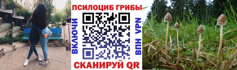 Купить где  Людиново  Галлюциногенные грибы ЛСД 